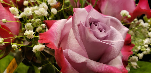 Supermarket «Super Stop & Shop», reviews and photos, 855 Bridgeport Ave, Milford, CT 06460, USA