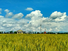 Agrometeorológiai Obszervatórium - Agro-meteorological Observatory