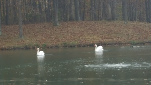 Winery «Copper Dock Winery», reviews and photos, 498 700 N, Pocahontas, IL 62275, USA