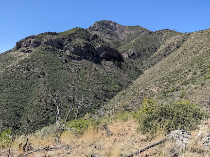 Mineral Creek (North Peak) Trailhead