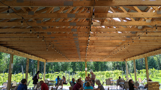 Winery «High Peaks Winery, LLC», reviews and photos, 805 Pickle St, Winthrop, NY 13697, USA