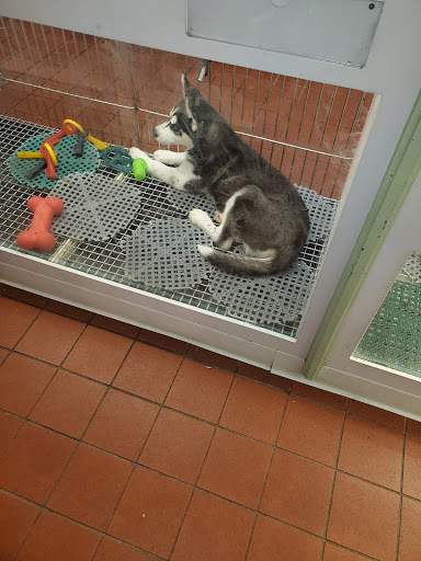 Pet Store «Pets Plus Inc», reviews and photos, 2610 Jefferson Davis Hwy, Stafford, VA 22554, USA