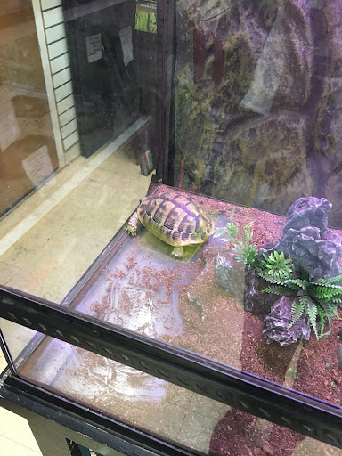 Pet Store «Animal Atlanta», reviews and photos, 6449 Bells Ferry Rd, Woodstock, GA 30189, USA