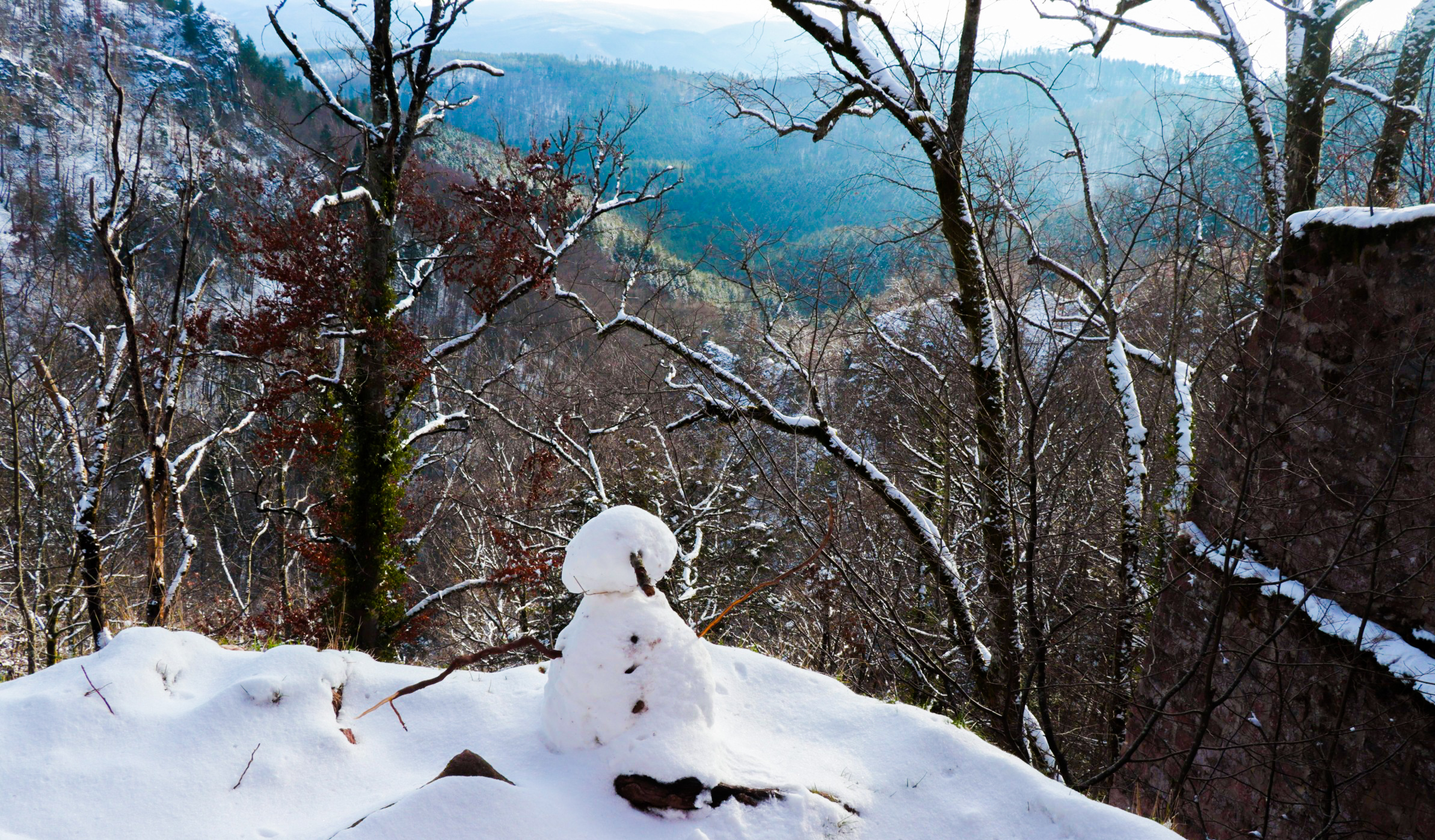 Photo n° 1 de l'avis de KHEOPS.1 fait le 10/01/2021 à 17:53