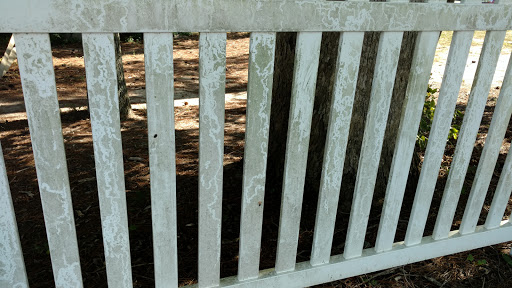 Recreation Center «James City County Recreation Center», reviews and photos