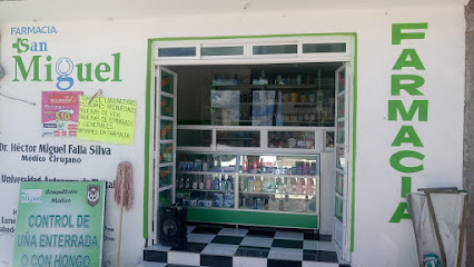 Farmacia San Miguel Calle Amapolas 1514, Loma Florida I, 90356 Apizaco, Tlax. Mexico