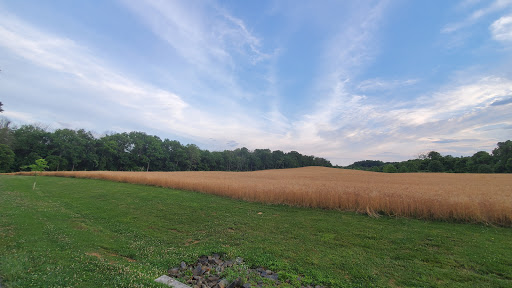 Golf Club «Winters Run Golf Course», reviews and photos, 1000 N Tollgate Rd, Bel Air, MD 21014, USA