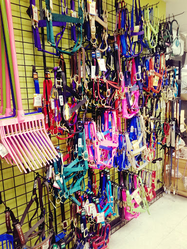 Pet Supply Store «Pet Club Mesa», reviews and photos, 55 S Country Club Dr, Mesa, AZ 85210, USA