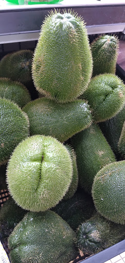 Shopping Mall «Uni-Dale Mall», reviews and photos, 608 University Ave W, St Paul, MN 55103, USA