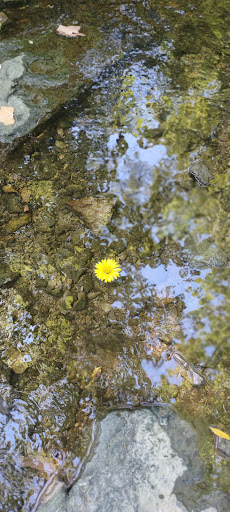 Park «Pioneer Park», reviews and photos, 10505 Deerfield Rd, Montgomery, OH 45242, USA