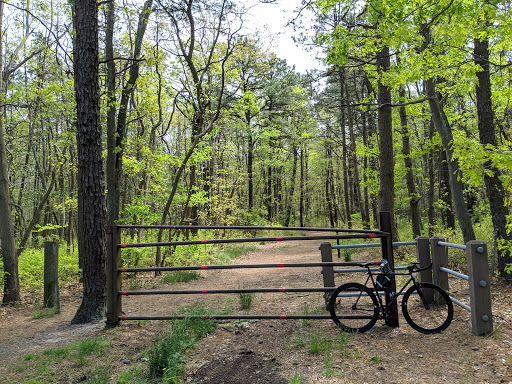 Nature Preserve «Edwin B. Forsythe National Wildlife Refuge- deCamp Wildlife Trail», reviews and photos, 365 Mantoloking Rd, Brick, NJ 08723, USA