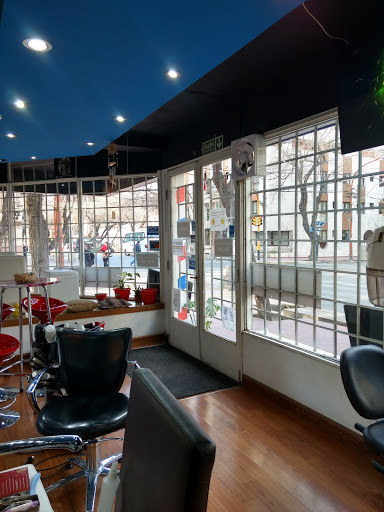 Shampoo Hairdressing and Barbering