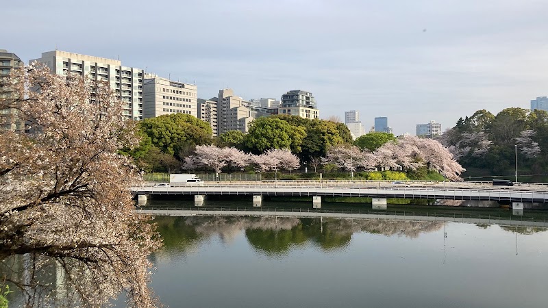 千鳥ヶ淵陣地九八式高射機関砲台跡