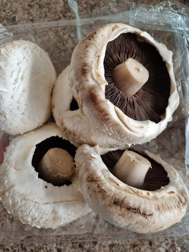 Mushroom Exchange