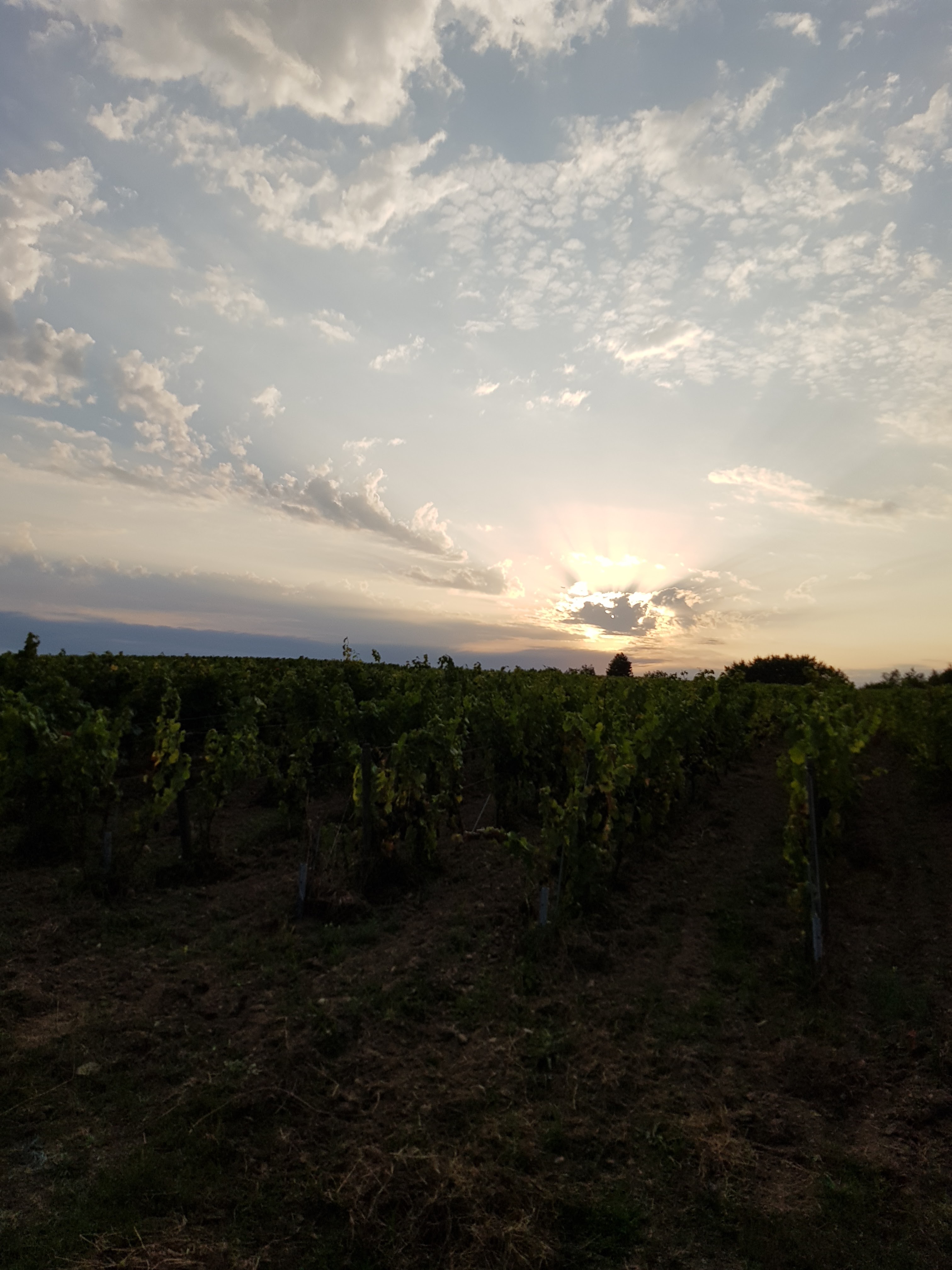Photo n° 1 de l'avis de Sabrina.a fait le 28/08/2018 à 22:07