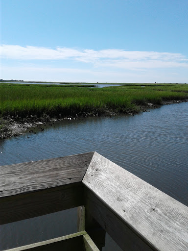 Park «Morse Park Landing», reviews and photos, 4939 US-17 BUS, Murrells Inlet, SC 29576, USA