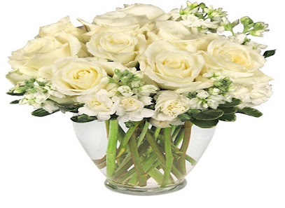 All Occasion Flowers