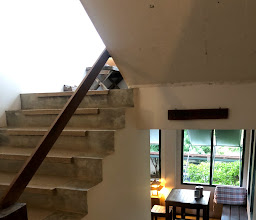 The Terrace Resort photo