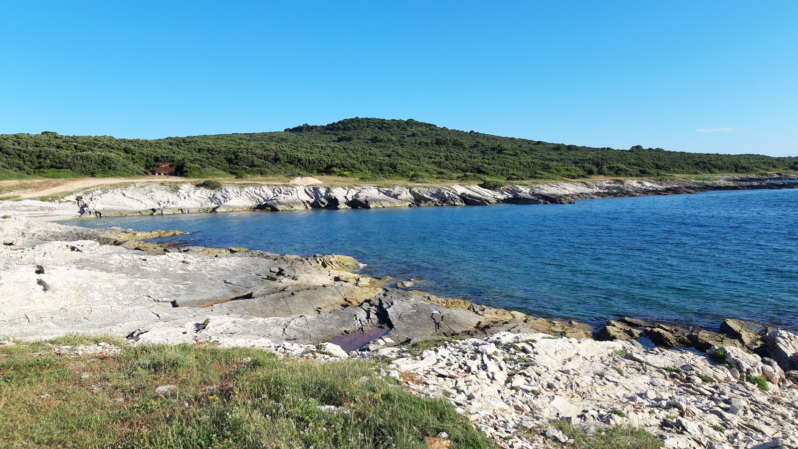 Vela Draga beach的照片 带有碧绿色纯水表面