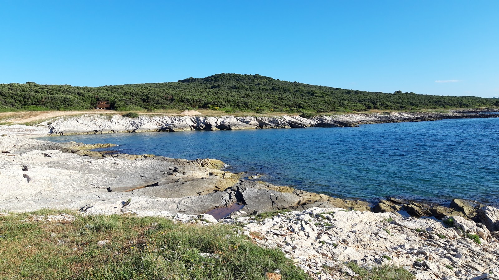 Photo de Vela Draga beach avec une baie minuscule
