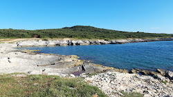 Photo de Vela Draga beach avec une baie minuscule