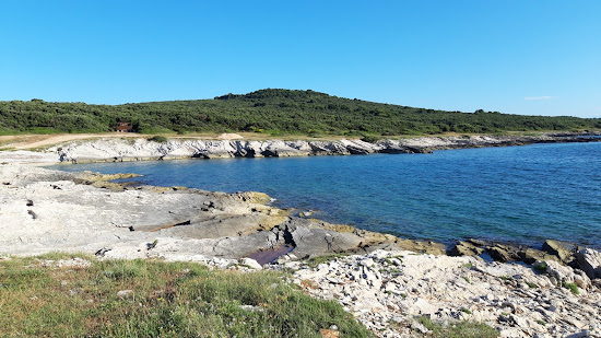 Vela Draga beach