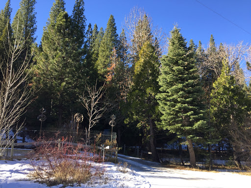 Cabin Rental Agency «Canyon Ranch Resort LLC», reviews and photos, 622 Old Truckee Rd, Sierraville, CA 96126, USA