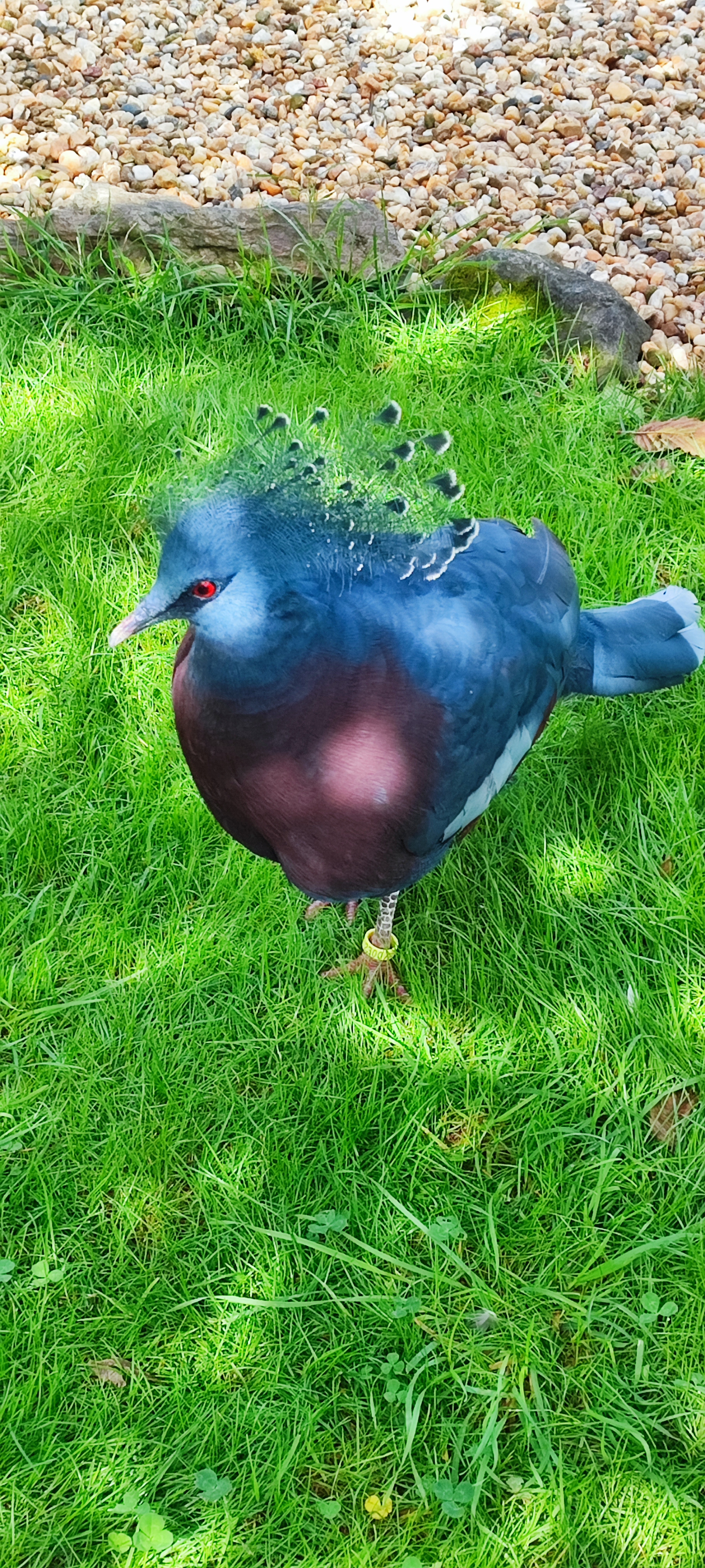 Photo n° 1 de l'avis de emilie.a fait le 29/08/2023 à 20:24