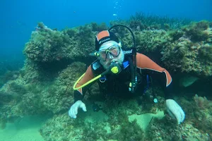 Monastir Plongée & Diving image