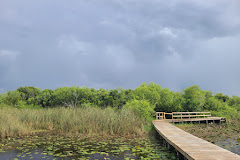 Tigertail Airboat Tours