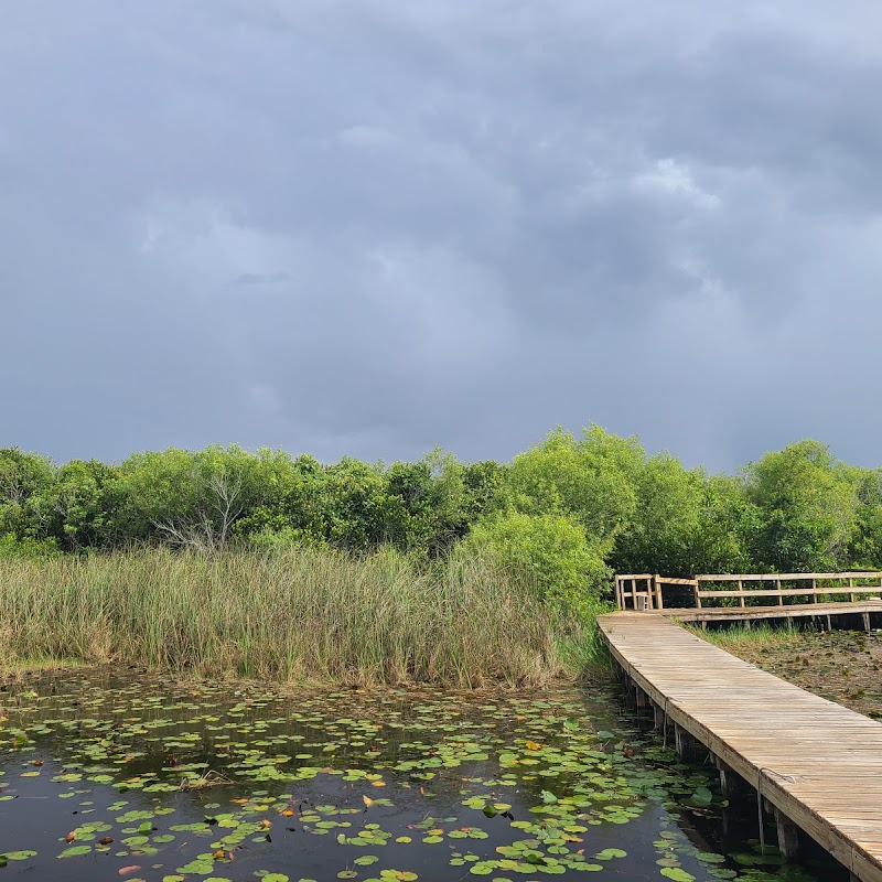 Tigertail Airboat Tours