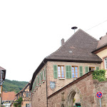 Photo n°3 de l'avis de Zurab.a fait le 09/08/2020 à 14:33 sur le  Winzergaststätte „Grafen von der Leyen“ à Burrweiler