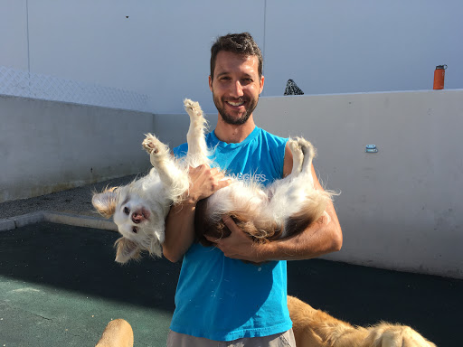 Wags & Wiggles image