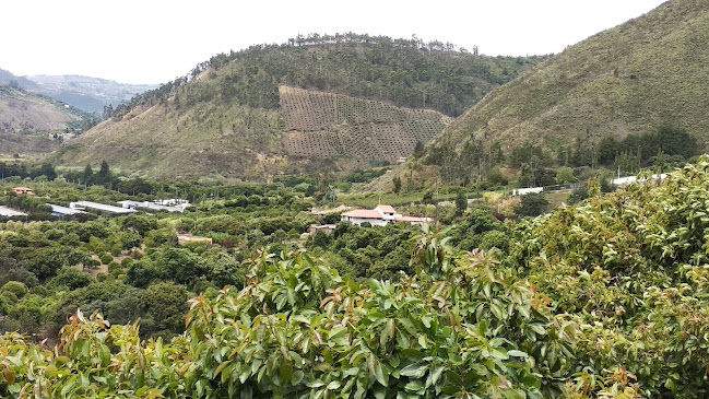JG8C+P6V, Huambaló, Ecuador