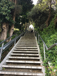 Durie Hill Steps