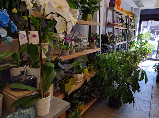 Florist «KaBloom», reviews and photos, 305 Harvard St, Brookline, MA 02446, USA