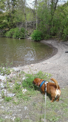 Park «Quiet Cove Riverfront Park», reviews and photos, 1 Clear Water Dr, Poughkeepsie, NY 12601, USA