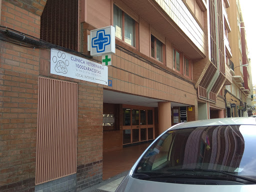 Alberto Cortés Clínica Veterinaria en Zaragoza