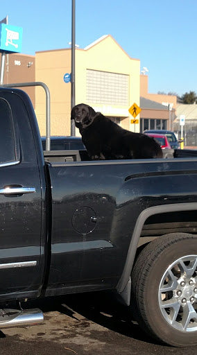 Department Store «Walmart Supercenter», reviews and photos, 505 S Dunlap St, Savoy, IL 61874, USA