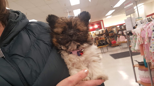 Department Store «T.J. Maxx», reviews and photos, 1850 Douglas Blvd #800, Roseville, CA 95661, USA