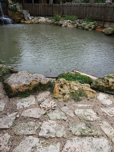 Country Club «Miccosukee Golf & Country Club», reviews and photos, 6401 Kendale Lakes Dr, Miami, FL 33183, USA