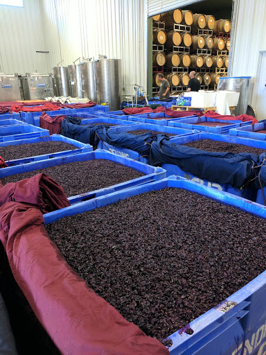 Winery «Bending Branch Winery», reviews and photos, 142 Lindner Branch Rd, Comfort, TX 78013, USA