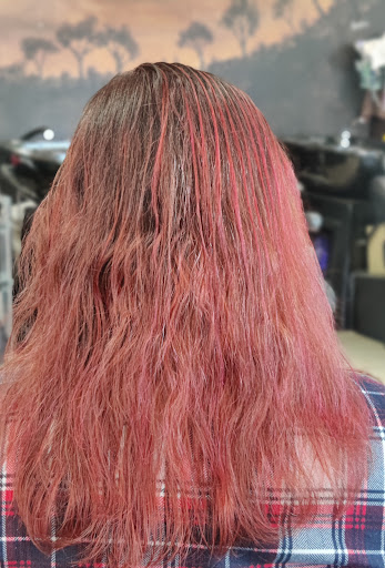 Beauty Salon «Angel Hair & Beauty Salon», reviews and photos, Stevens Creek Blvd, Santa Clara, CA 95051, USA