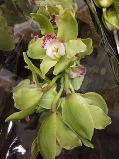 Florist «Sieck-Wright Floral Products», reviews and photos, 231 Monmouth St, Hightstown, NJ 08520, USA