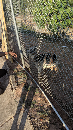 Self-Storage Facility «Newnan Lock Storage - I-85 North Location», reviews and photos, 205 Elzie Johnson Rd, Newnan, GA 30265, USA