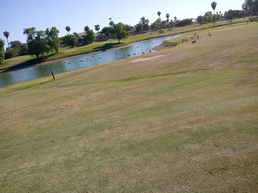 Golf Club «Superstition Springs Golf Club», reviews and photos, 6542 E Baseline Rd, Mesa, AZ 85206, USA