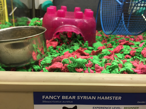 Pet Supply Store «PetSmart», reviews and photos, 1042 Fairplain Dr, Benton Harbor, MI 49022, USA