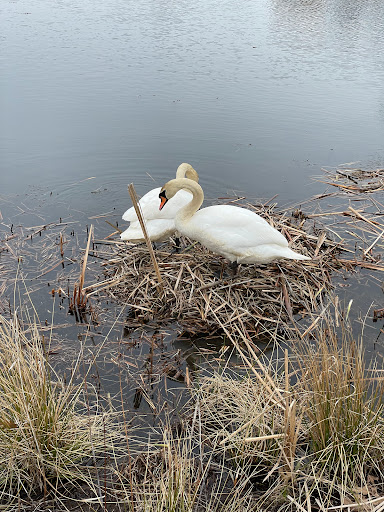Golf Course «Fresh Pond Golf Course», reviews and photos, 691 Huron Ave, Cambridge, MA 02138, USA