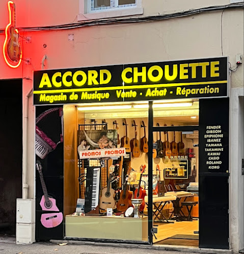 Magasin d'instruments de musique Accord Chouette Oullins