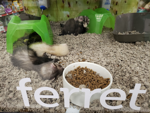 Pet Supply Store «Petco Animal Supplies», reviews and photos, 2000 NE Burnside Rd, Gresham, OR 97030, USA